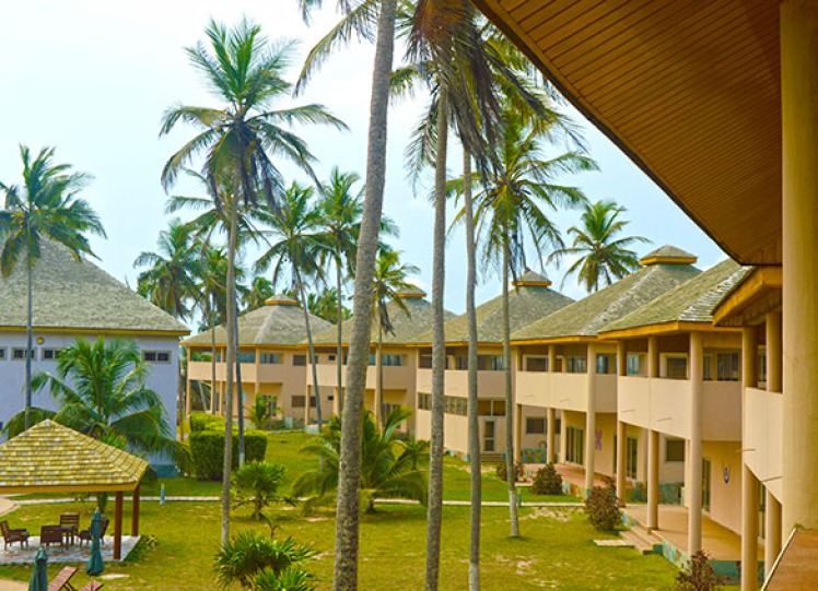 coconut tress in the middle of the open space with buildings